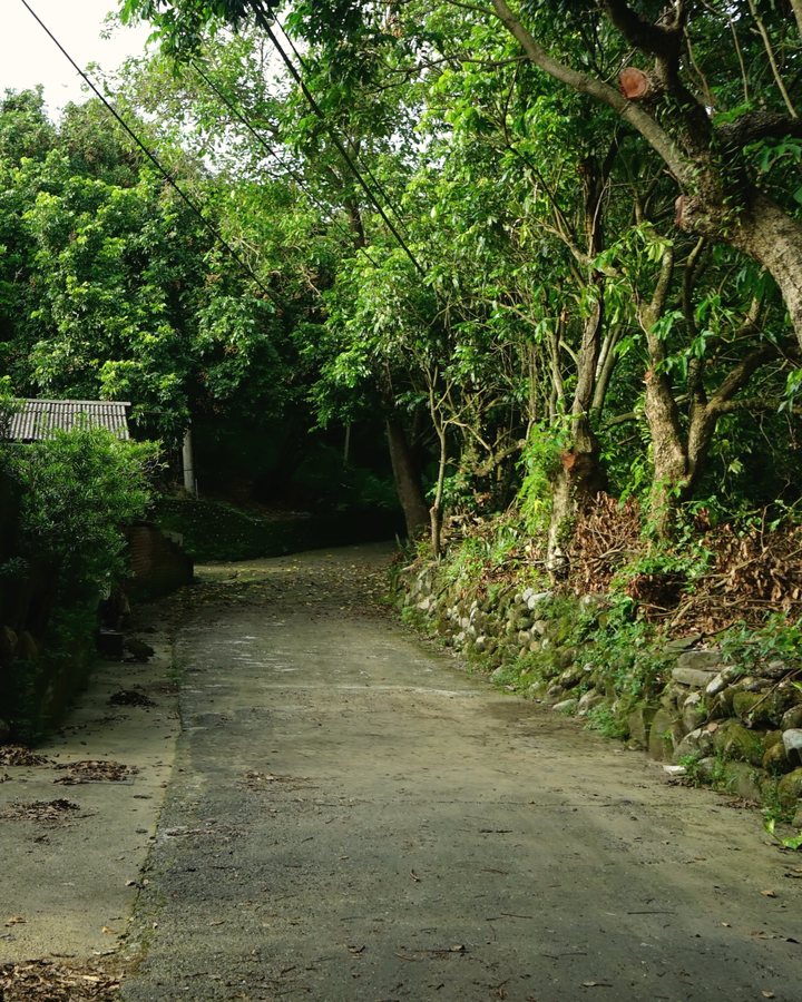 通往中寮果園的鄉間小路