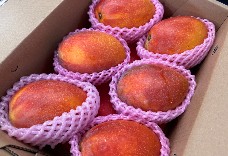 國產愛文芒果5-6粒(大果) 1盒免運