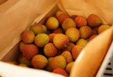 選粒玉荷包禮盒(5台斤)1盒裝 免運