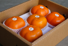 仁愛知秋柿(5粒裝) 禮盒版 1盒免運