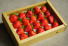 國產無農藥香水草莓(20粒裝) 中小