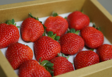 國產無農藥香水草莓(12粒裝)