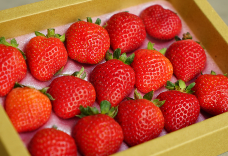 國產無農藥香水草莓(15粒裝) 