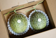 高山卡蜜拉哈密瓜(小果2粒)1盒 免運 