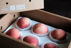 藏稀  紅玲水蜜桃 (1盒) 