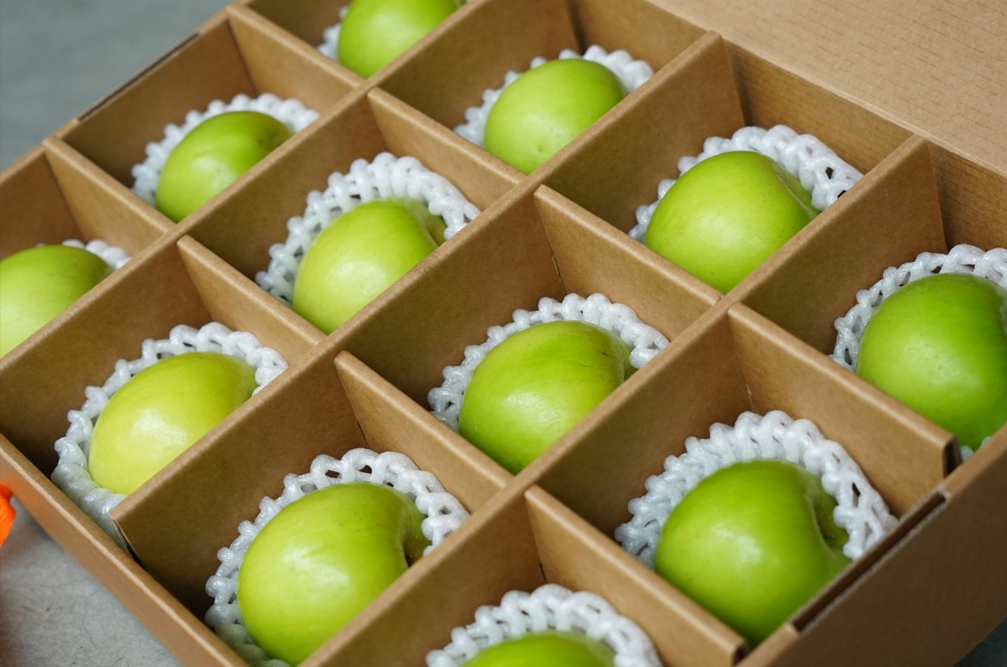 珍蜜雪蜜棗禮盒(12粒)4盒免運