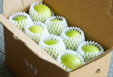珍蜜雪蜜棗4台斤(小果)1盒免運