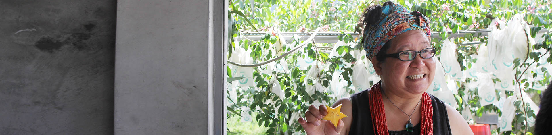 ▎知果堂料理教室 ▎鹽漬楊桃、楊桃莎莎、星星烤肉