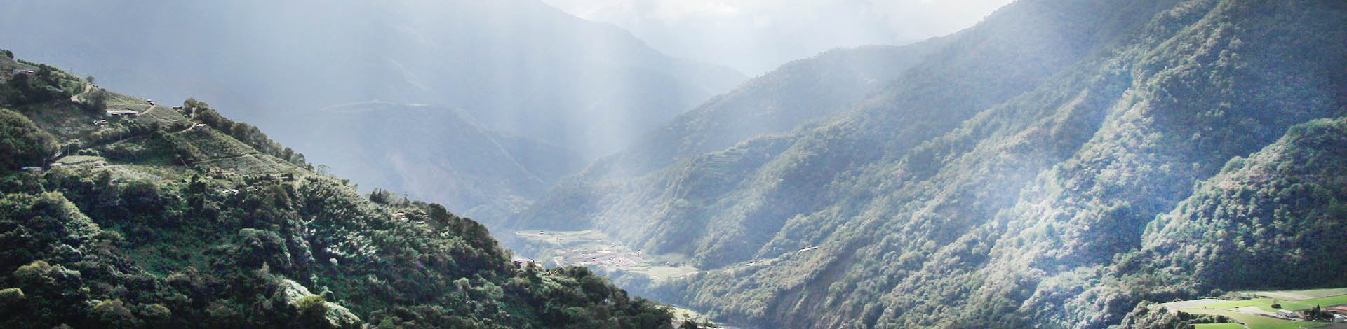 ▎知果堂料理教室 ▎馬愛雲的甜柿料理