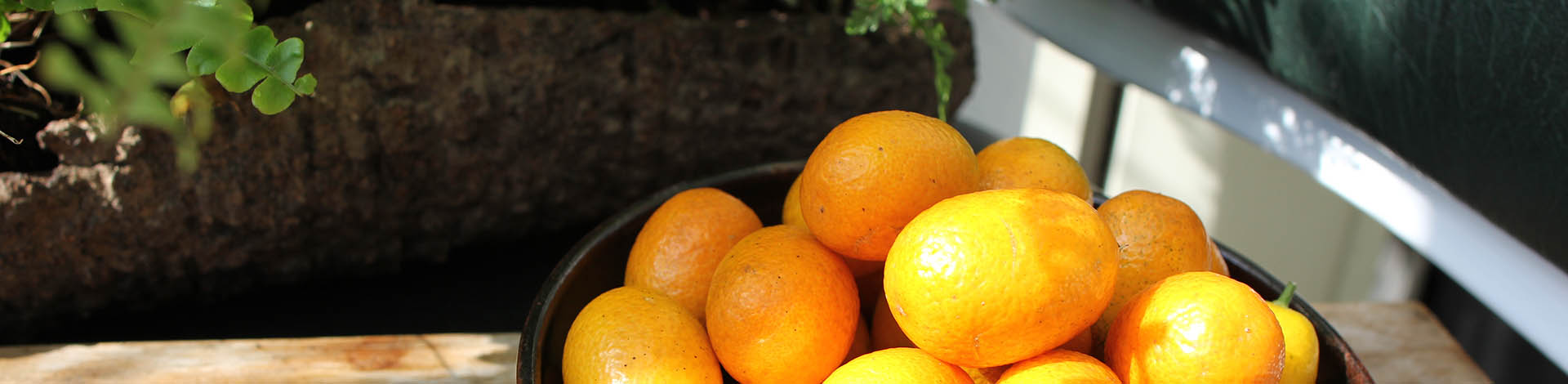 ▎知果堂料理教室 ▎糖漬金棗