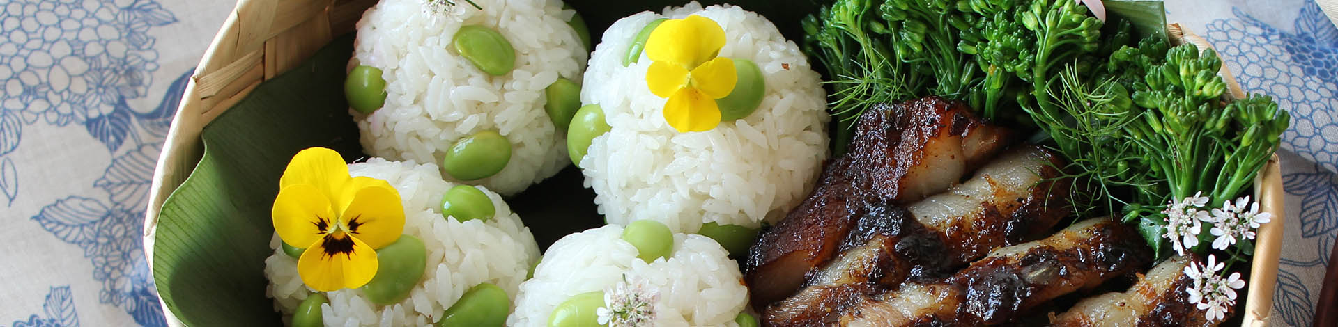  ▎知果堂料理教室 ▎春日梅香便當