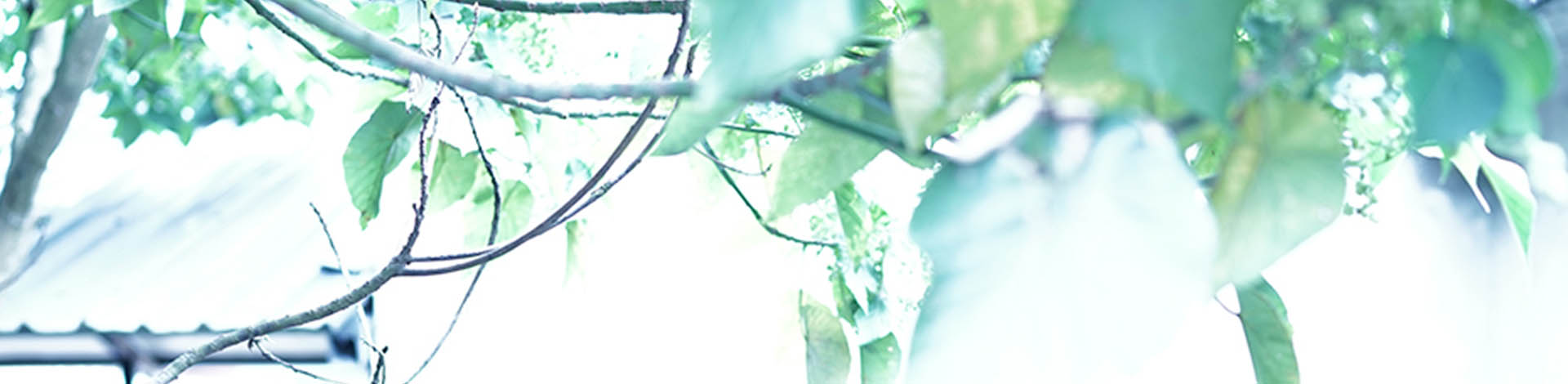 ▎知果堂料理教室 ▎完熟梅味噌、自然發酵梅果露、日式紫蘇梅干