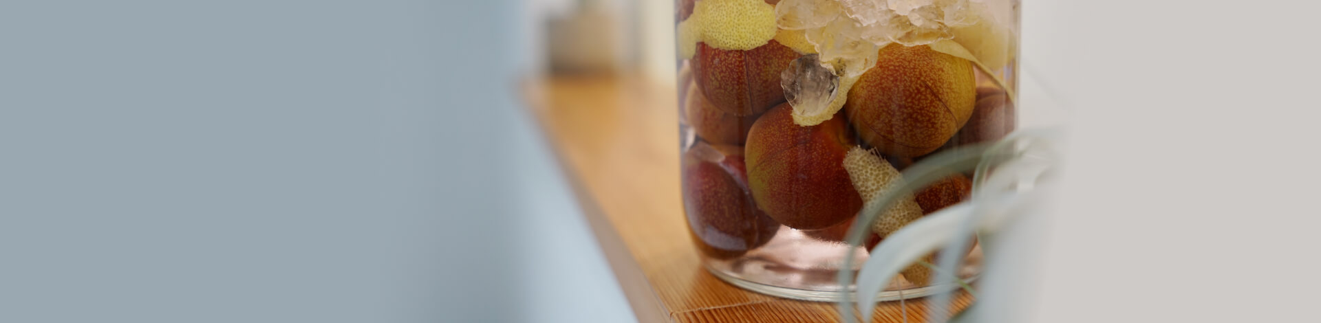 ▎知果堂料理教室 ▎紅肉李果實釀