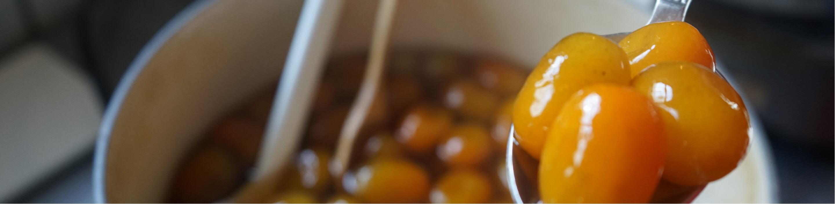 ▎知果堂講水果 ▎台灣金棗 