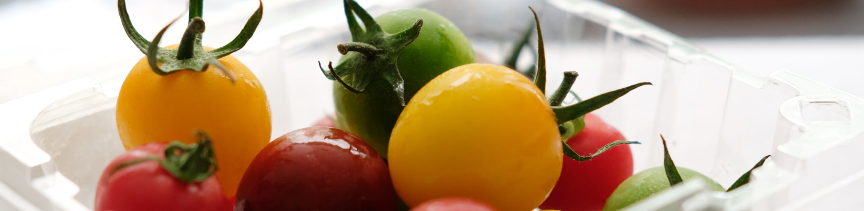 ▎知果堂講水果 ▎台灣番茄