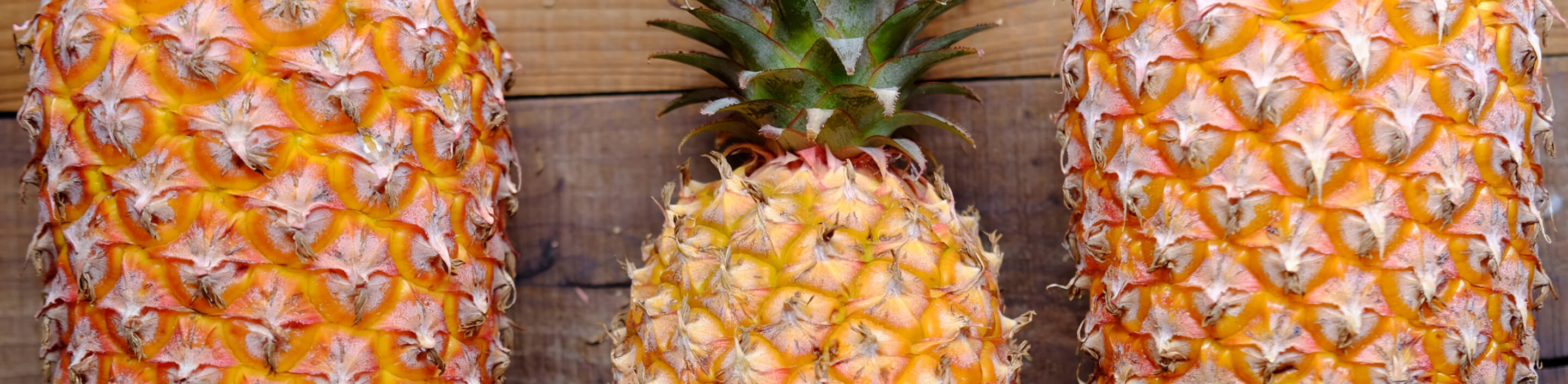 ▎知果堂講水果 ▎台灣鮮食鳳梨常見的品種