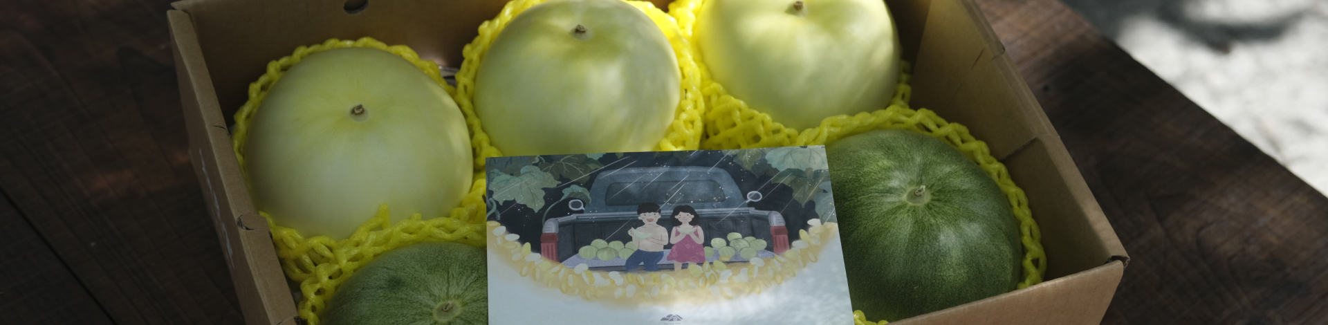 ▎知果堂講水果 ▎台灣美濃香瓜