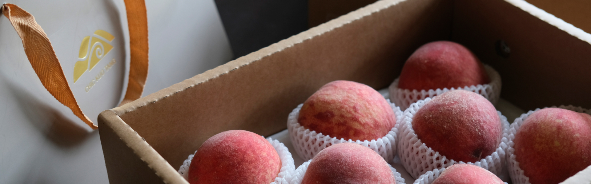 企業ESG水果禮盒試用申請