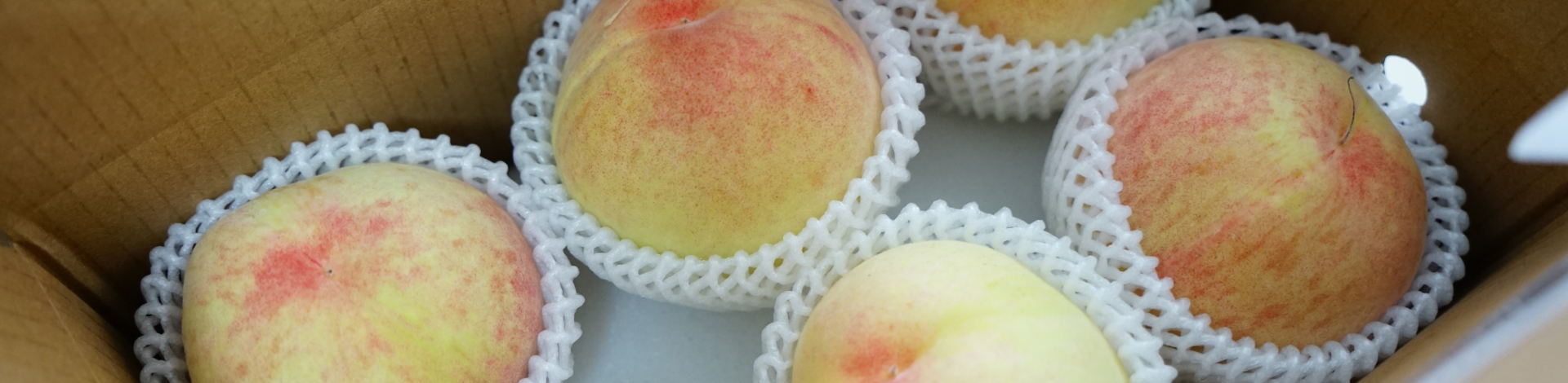 台中東區安東診所